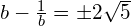 b-\frac{1}{b} =\pm 2\sqrt{5}