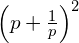 \left(p+ \frac{1}{p} \right)^2