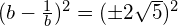 (b-\frac{1}{b})^2 =(\pm 2\sqrt{5})^2